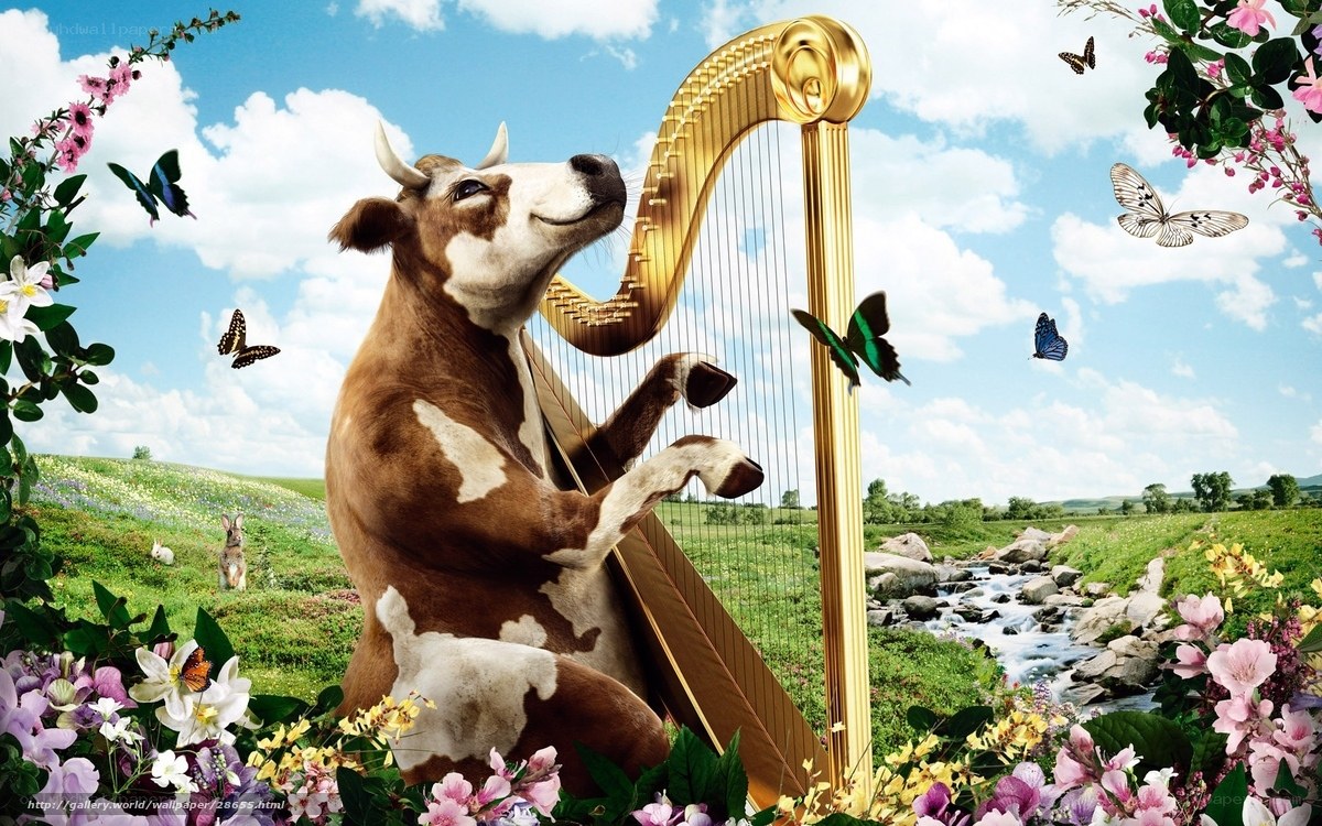 cow playing harp in field