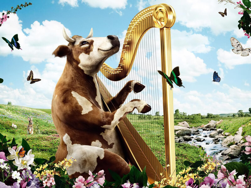 Cow Playing Harp