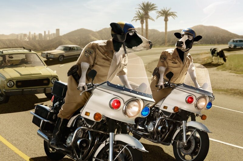 Cow Police Officers