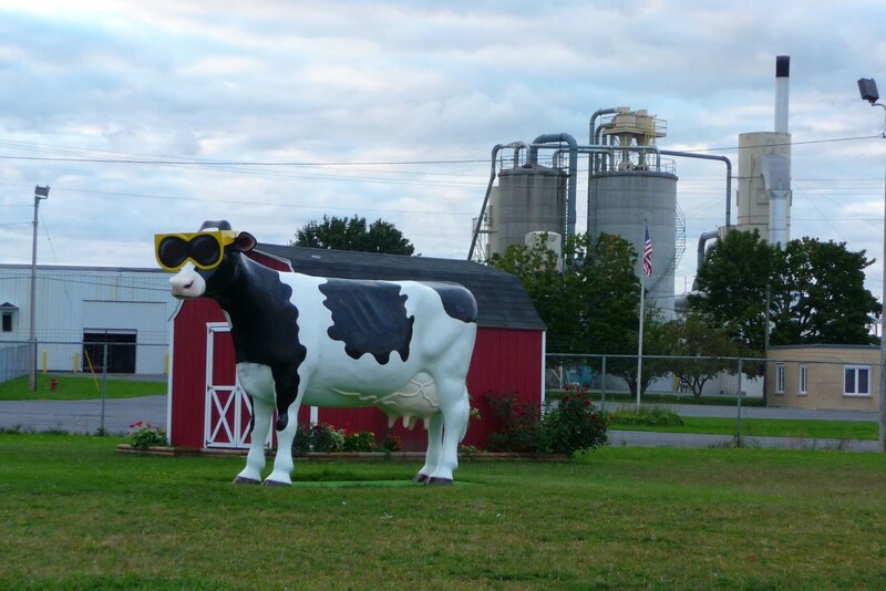 Cow Statue with Sunglasses