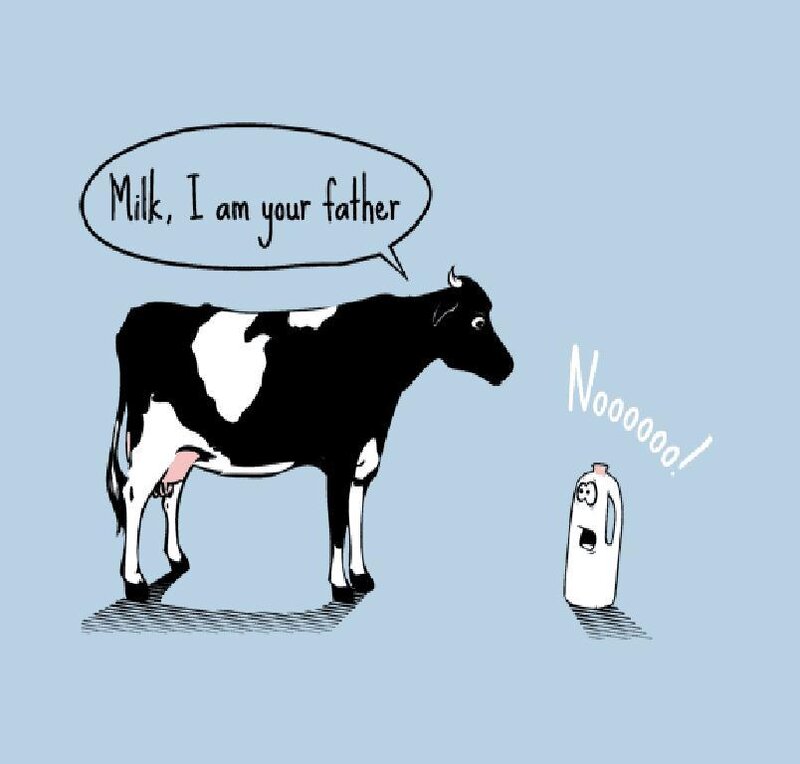 Cow tells milk it's its father