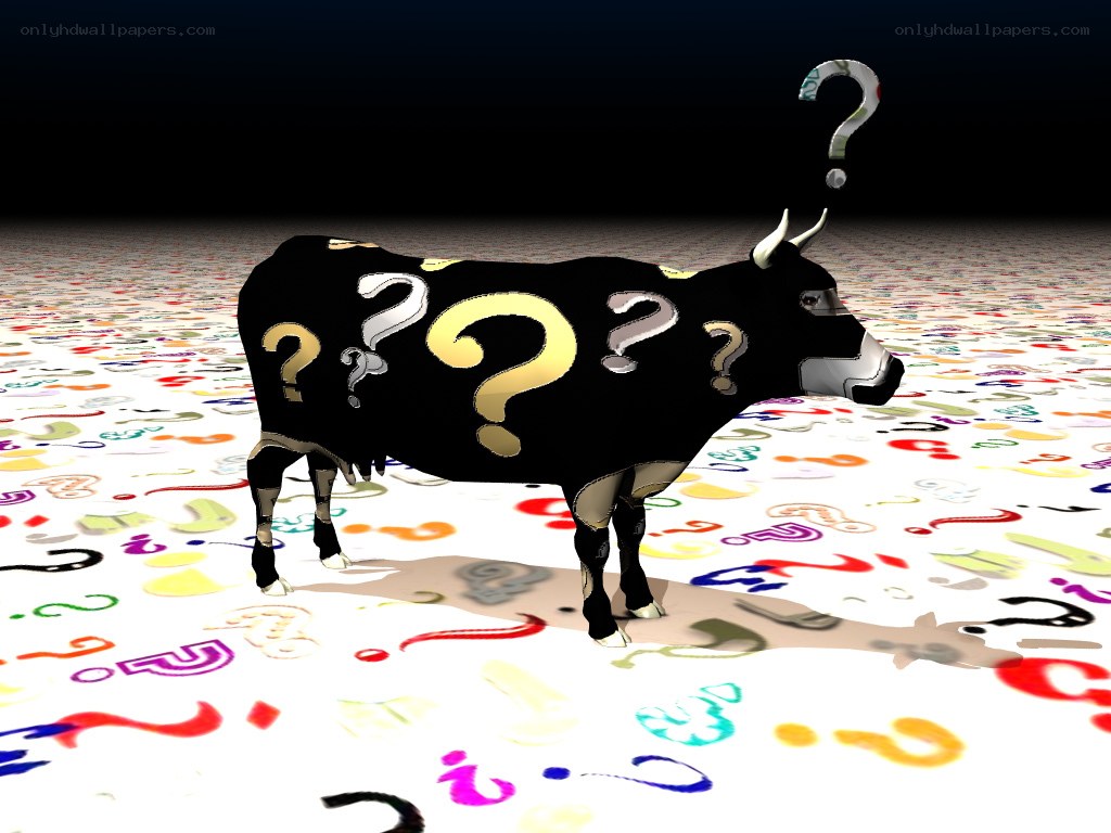 cow with question marks
