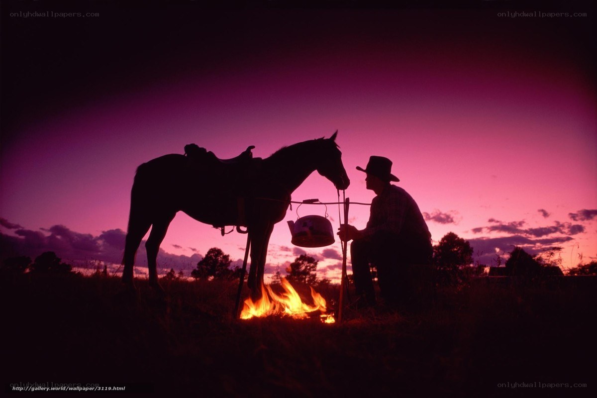 Cowboy and horse at sunset