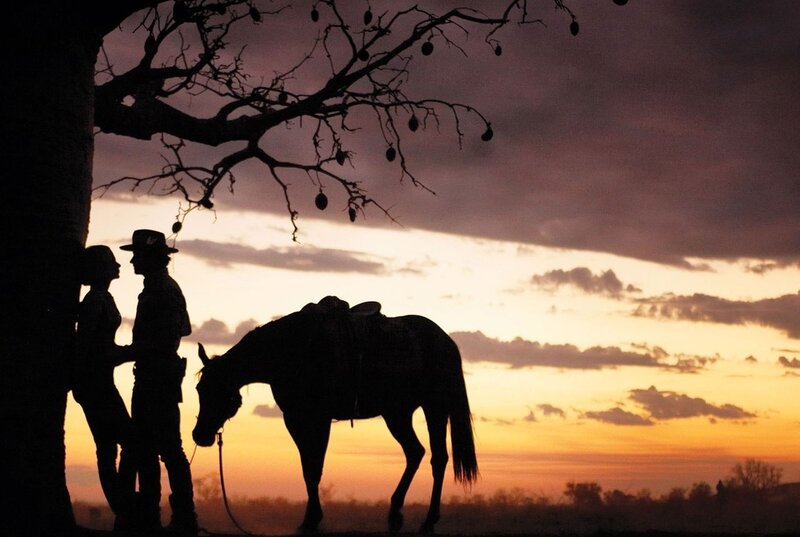 Cowboy and Horse Silhouette