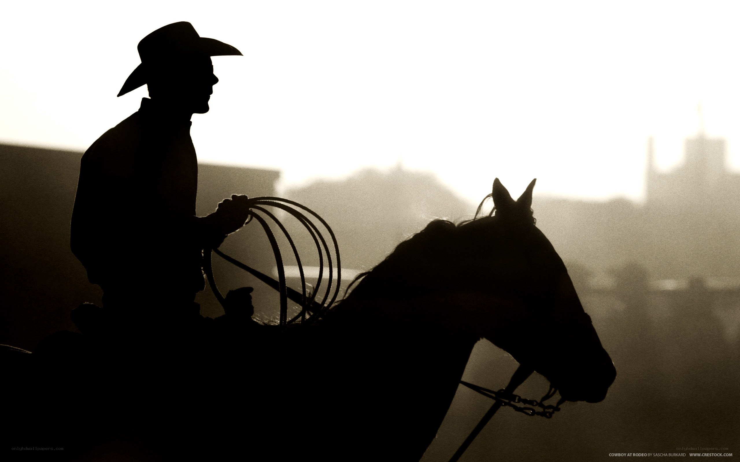 Cowboy at rodeo silhouette