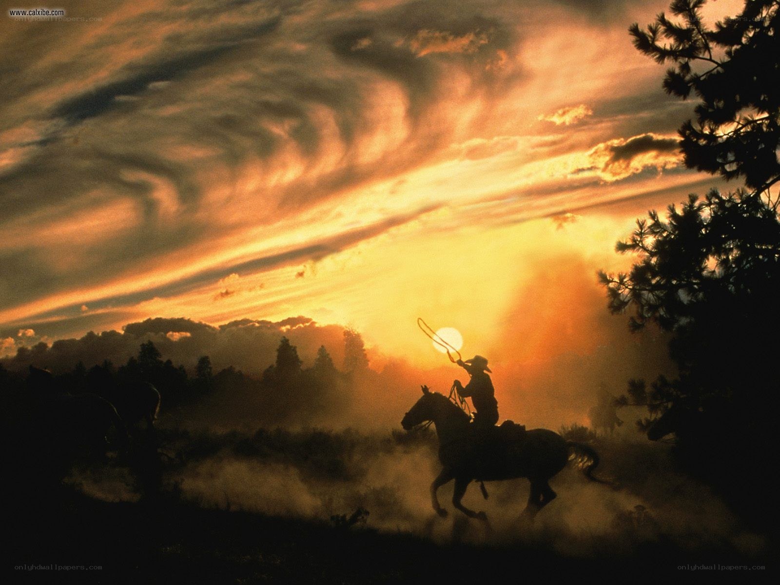 Cowboy at sunset silhouette