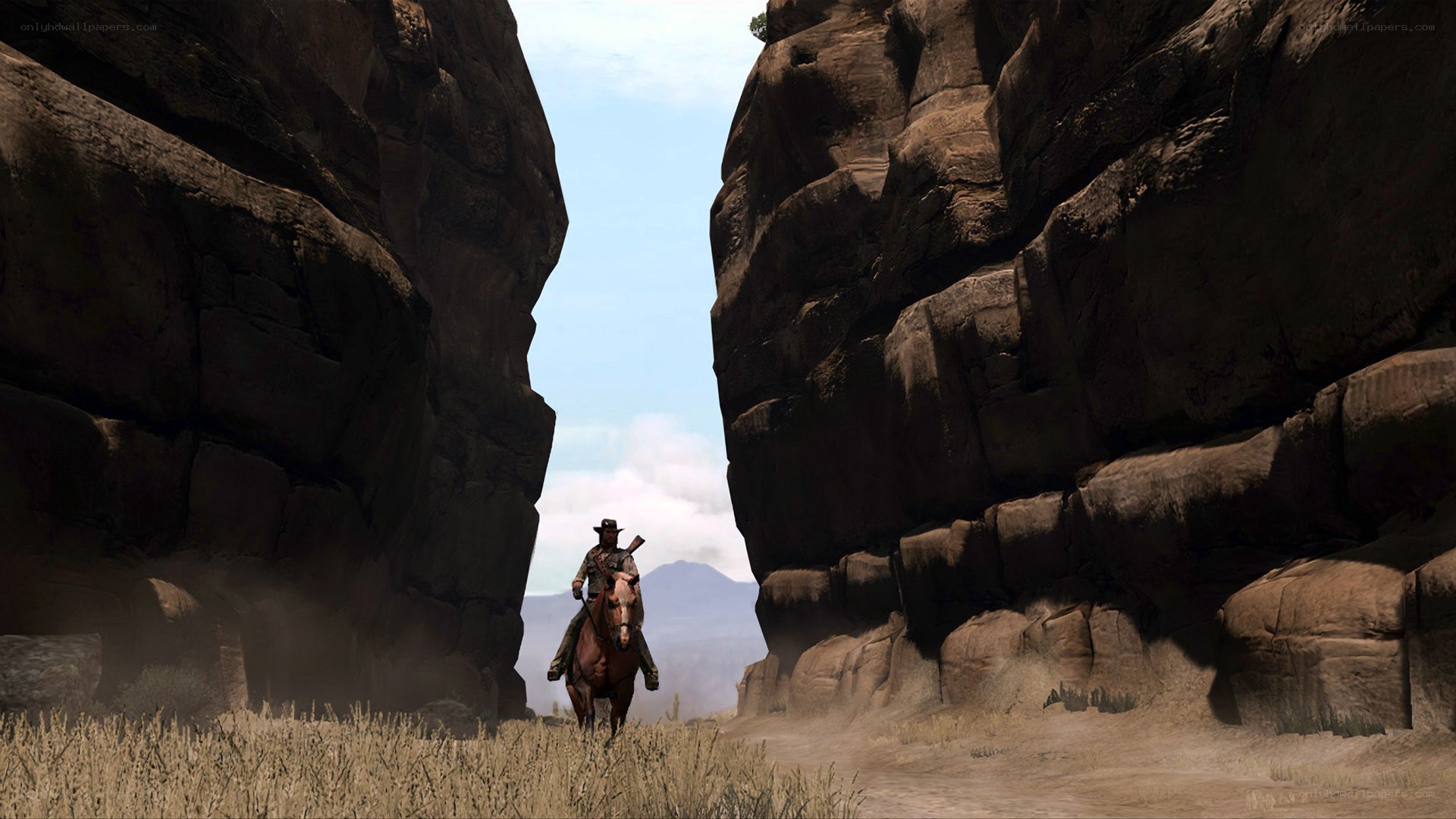 cowboy in a canyon