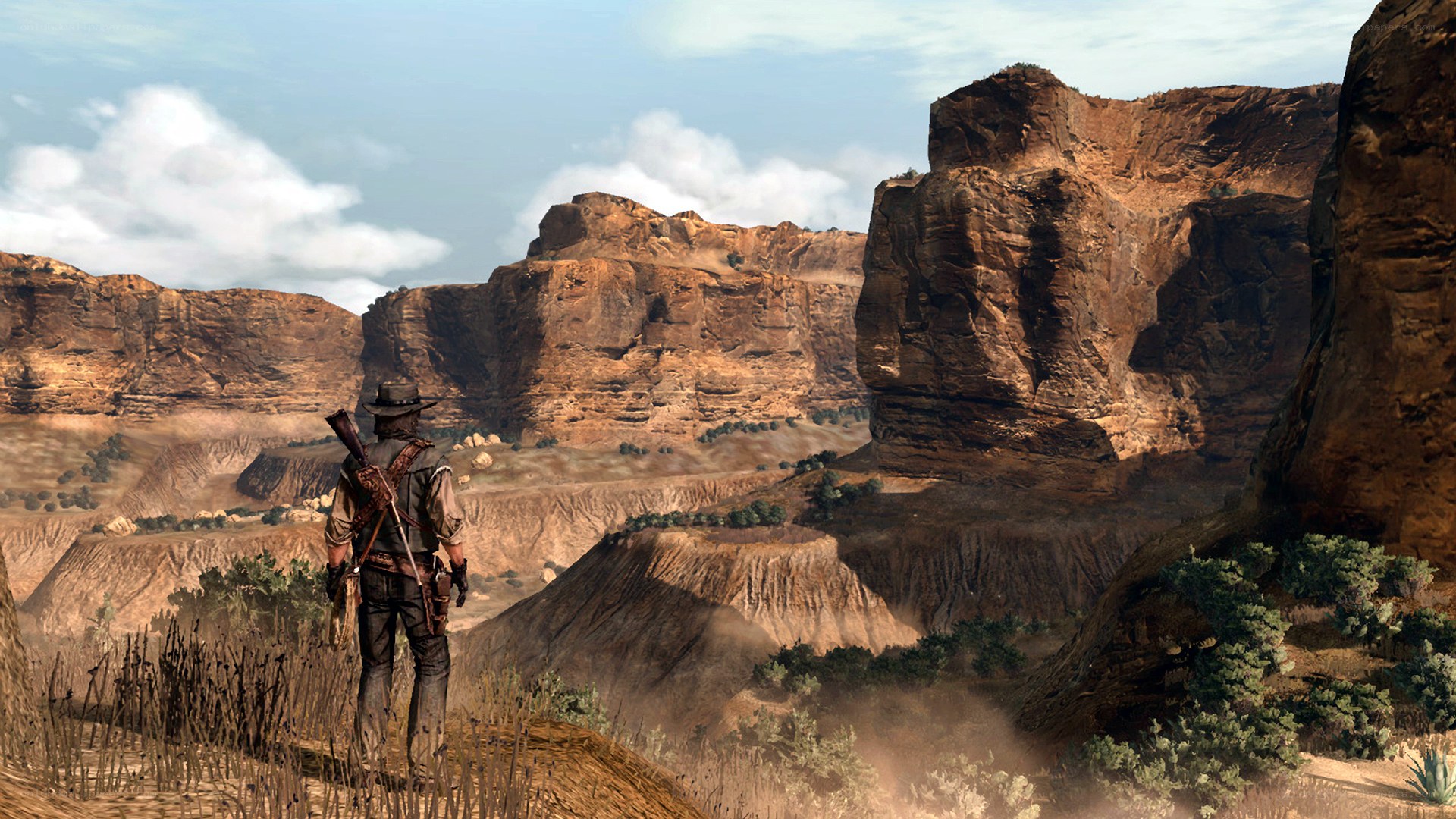 cowboy in desert canyon
