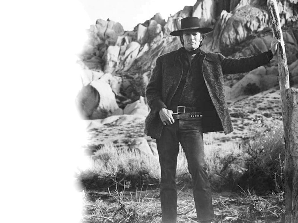cowboy in desert landscape