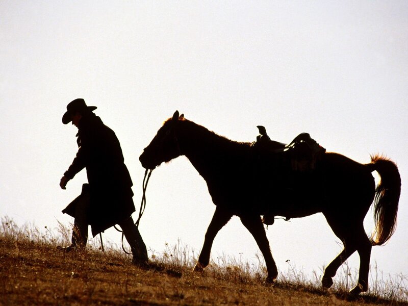 Cowboy Leading Horse — Black