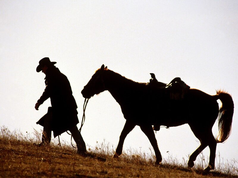 cowboy leading horse silhouette