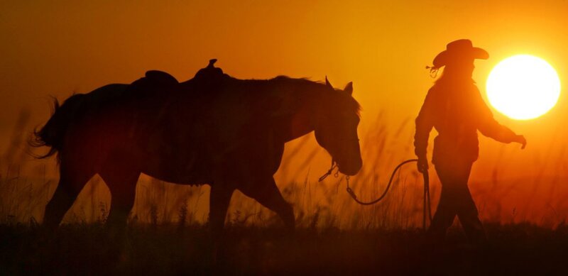 Cowboy Leading Horse