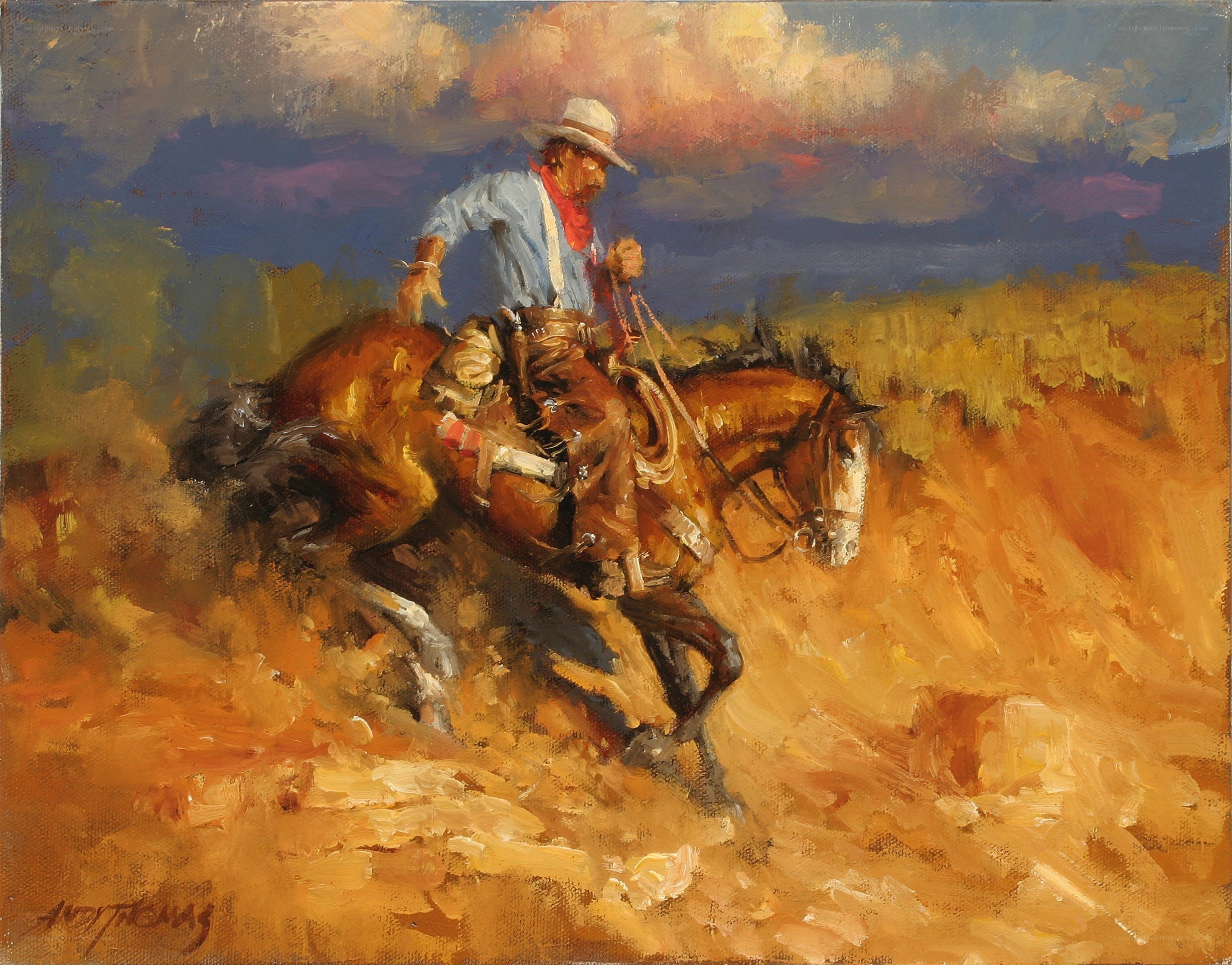 Cowboy on a galloping horse