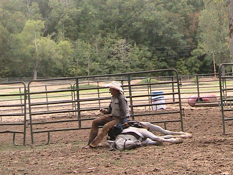 Cowboy on a Horse