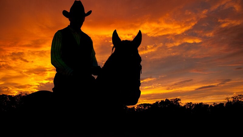 Cowboy on horse at sunset