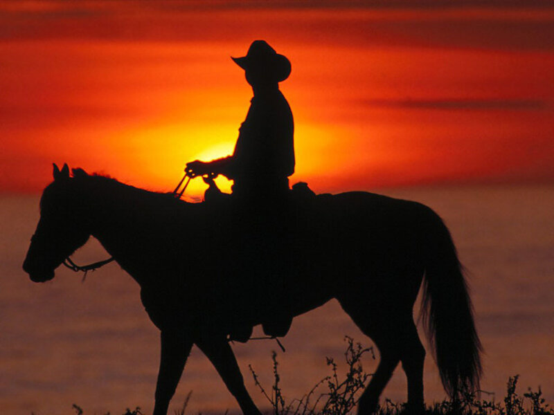 Cowboy on horse at sunset