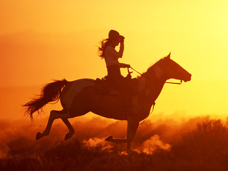 Cowboy on horse at sunset