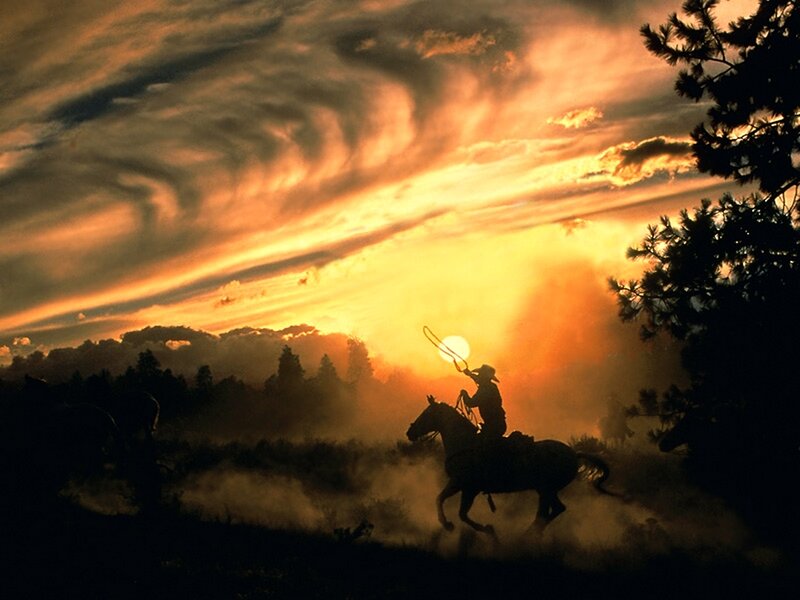 Cowboy on horse at sunset
