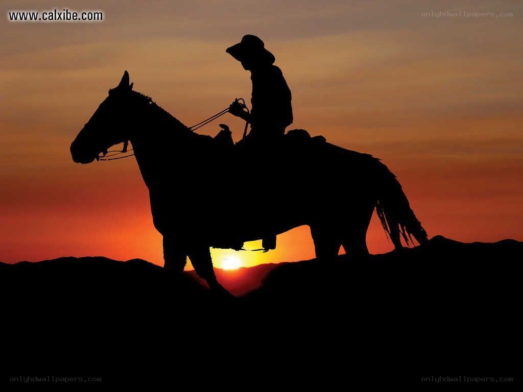 Cowboy on horse at sunset