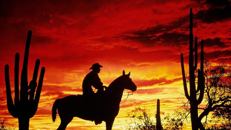 Cowboy on horse at sunset