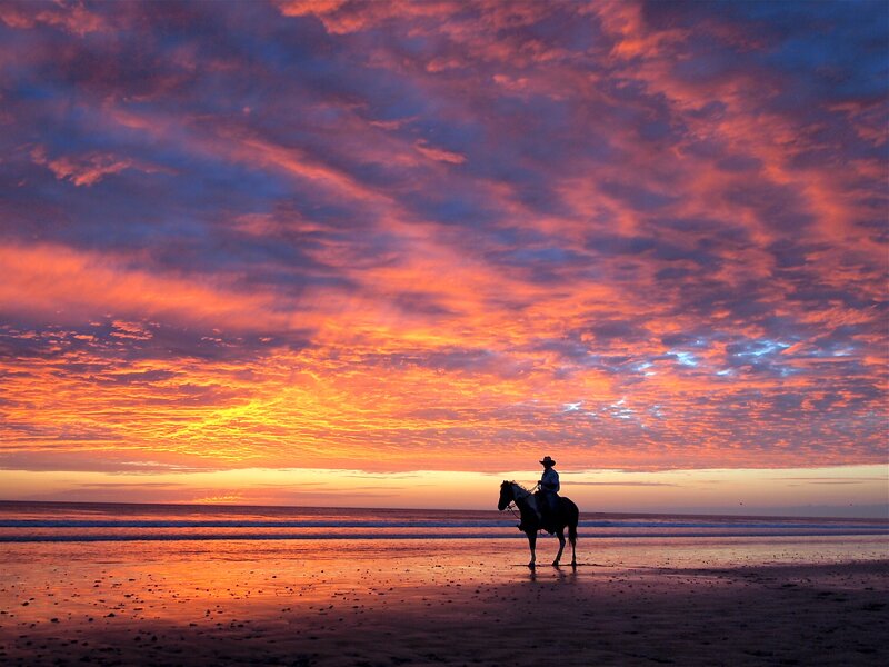 Cowboy on horse at sunset