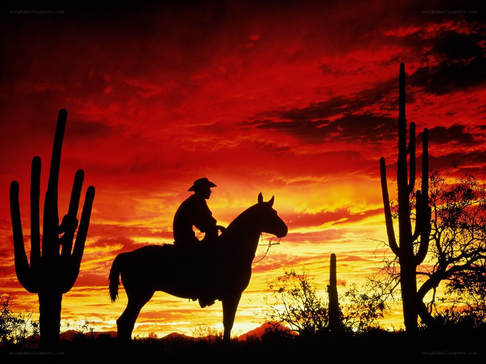 Cowboy on horse at sunset
