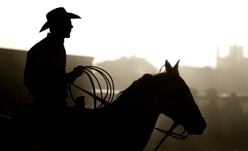 Cowboy on Horse — Black, Dramatic, Sunset