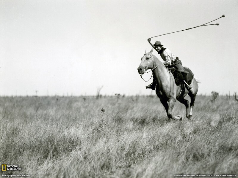 Cowboy on Horse — Black, Dynamic