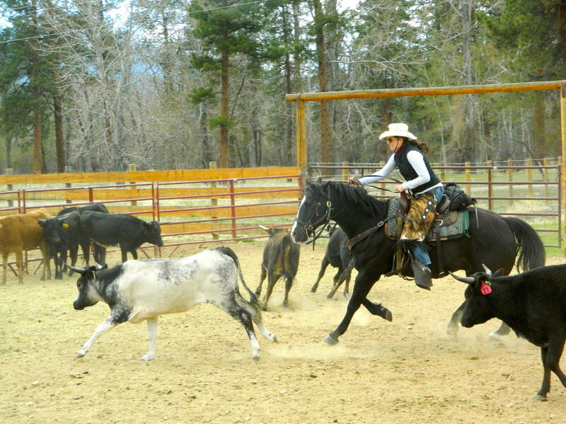 Cowboy on Horse — Brown, Active