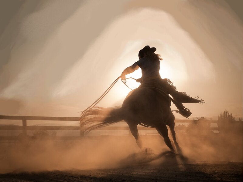 Cowboy on Horse — Brown, Dramatic, Sunset, Photograph, Rope
