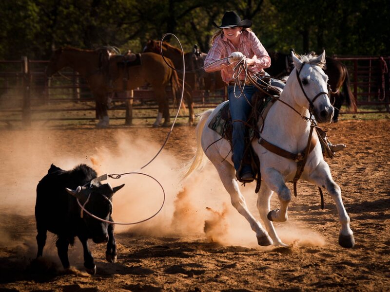 Cowboy on Horse — Brown, Dynamic, Afternoon