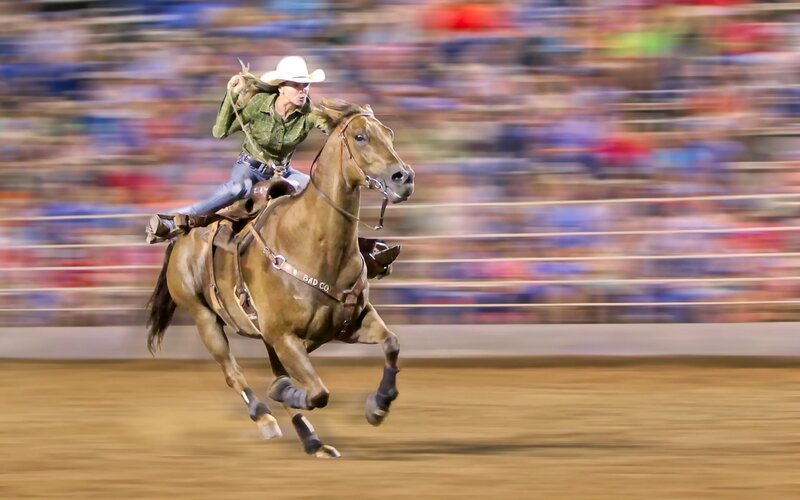 Cowboy on Horse — Brown, Dynamic, Photograph, Crowd