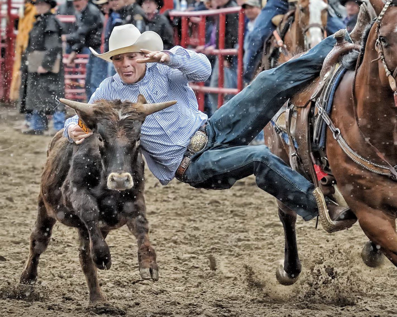 Cowboy on Horse — Brown, Dynamic, Photograph