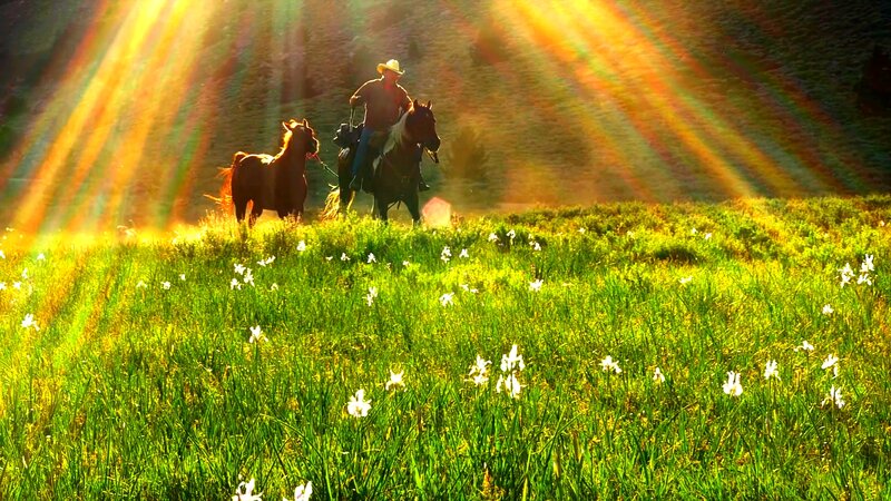 Cowboy on Horse — Green