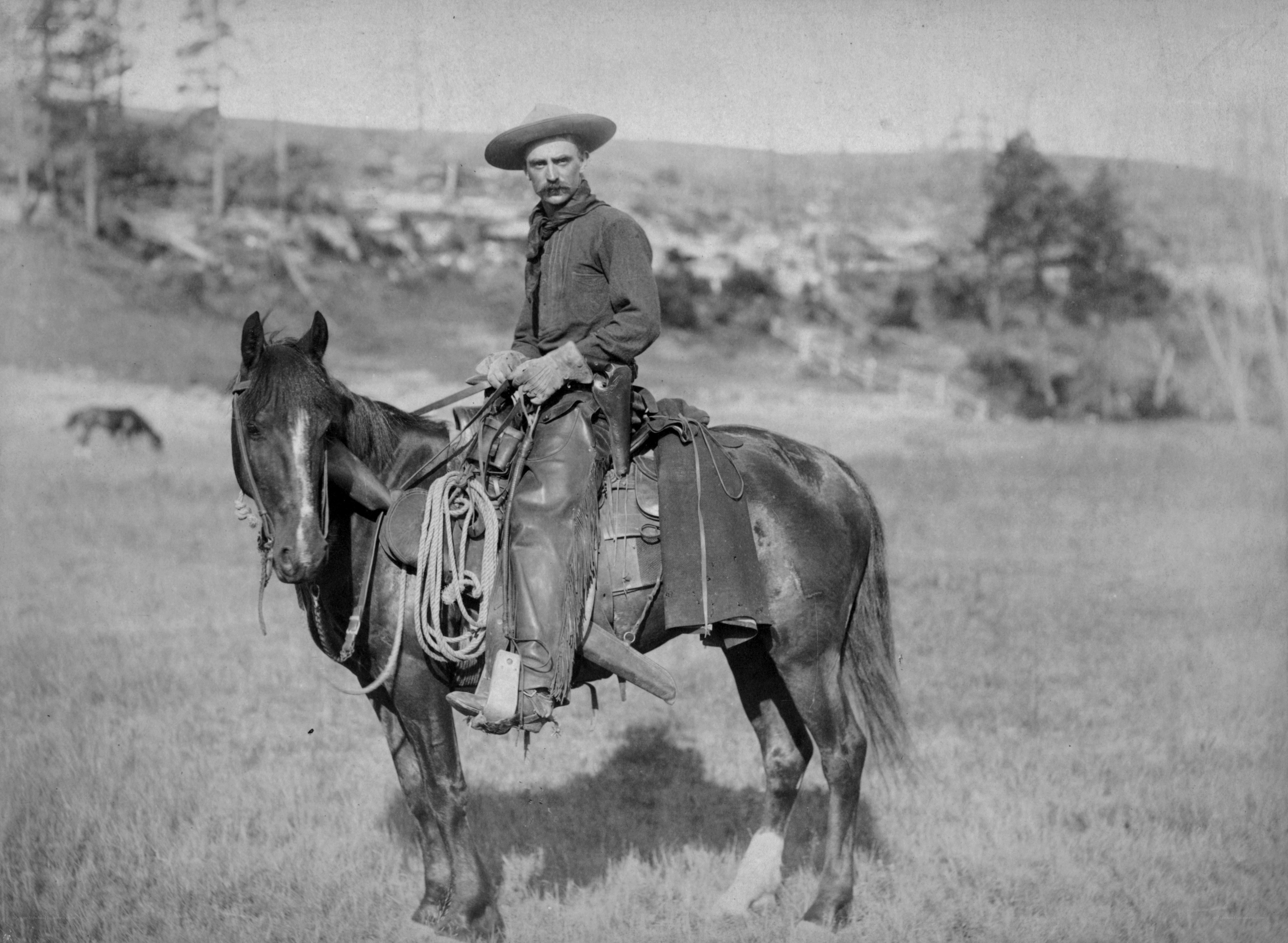 Cowboy on horse in field