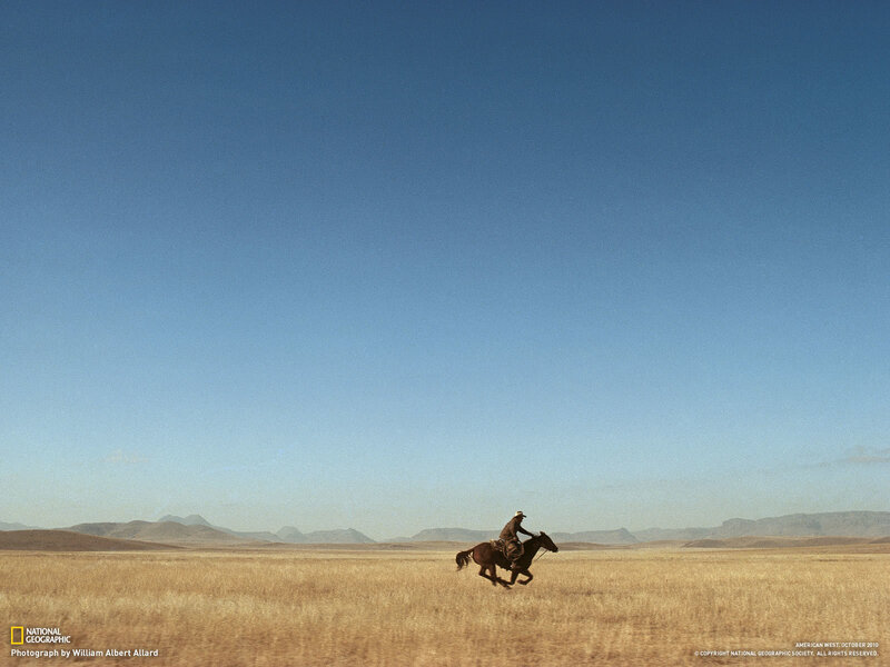 Cowboy on horse in open plains