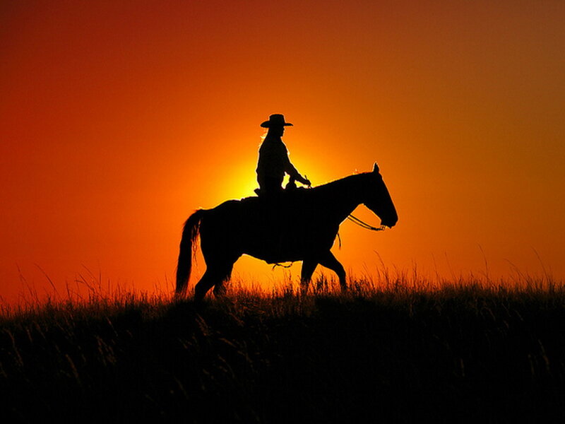 Cowboy on Horse — Orange, Dramatic, Sunset, Photograph, Grass