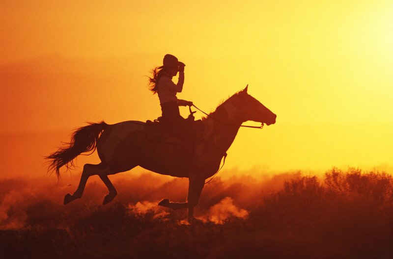 Cowboy on Horse — Orange, Dramatic, Sunset, Photograph, Rider