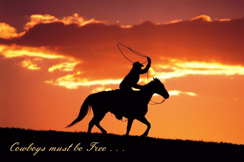 Cowboy on Horse — Orange, Dramatic, Sunset, Photograph, Rope, Sky