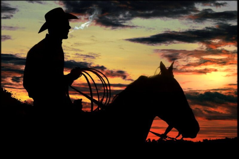 Cowboy on Horse — Orange, Dramatic, Sunset, Photograph, Rope