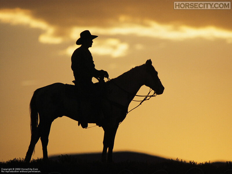 Cowboy on Horse — Orange, Dramatic, Sunset