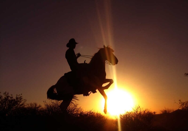 Cowboy on Horse — Orange, Dramatic