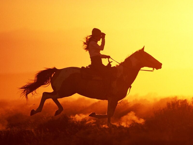 Cowboy on Horse — Orange, Sunset