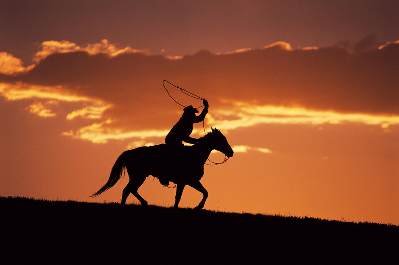 Cowboy on Horse — Orange