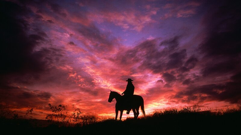 Cowboy on Horse — Purple, Dramatic, Sunset