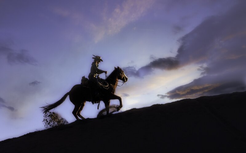 Cowboy on Horse — Purple, Dramatic
