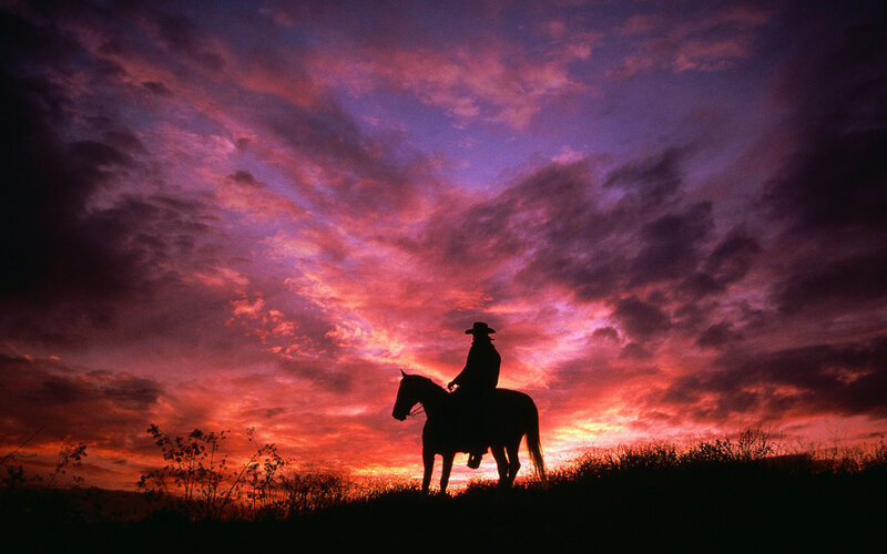 Cowboy on Horse — Purple