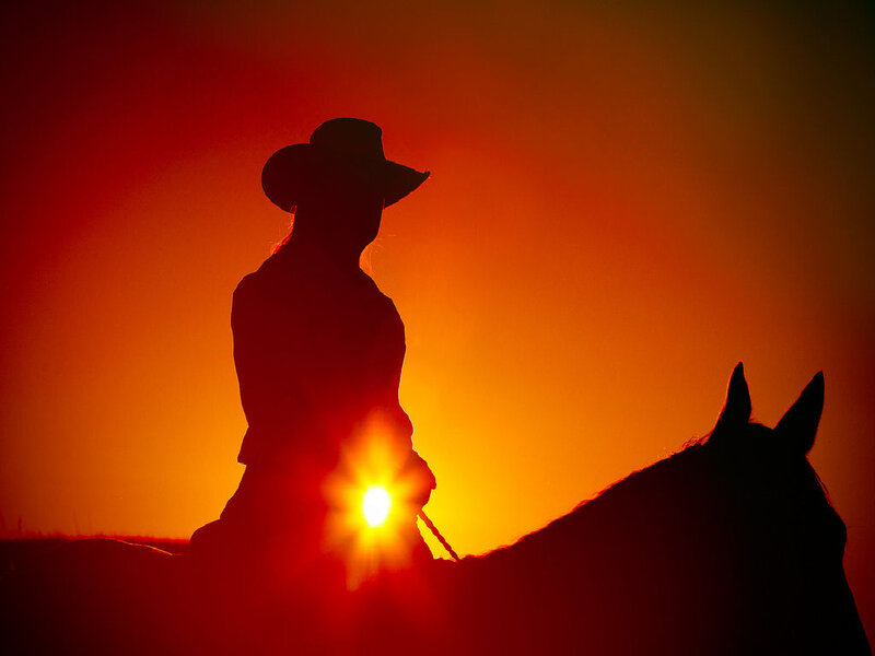 Cowboy on Horse — Red, Dramatic