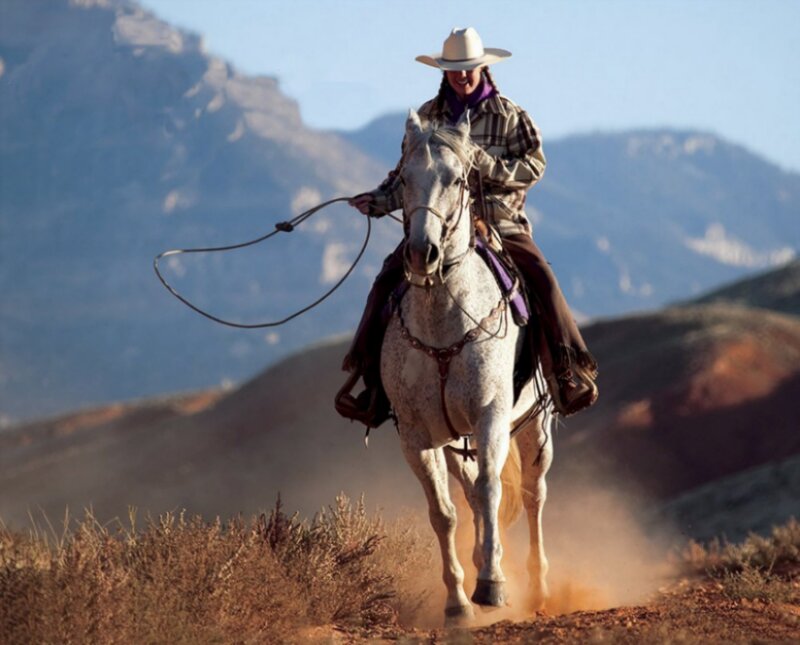 Cowboy on Horse — White, Dusty