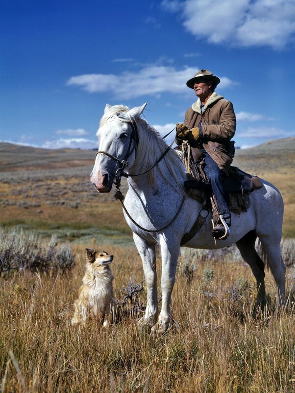 Cowboy on horse with dog